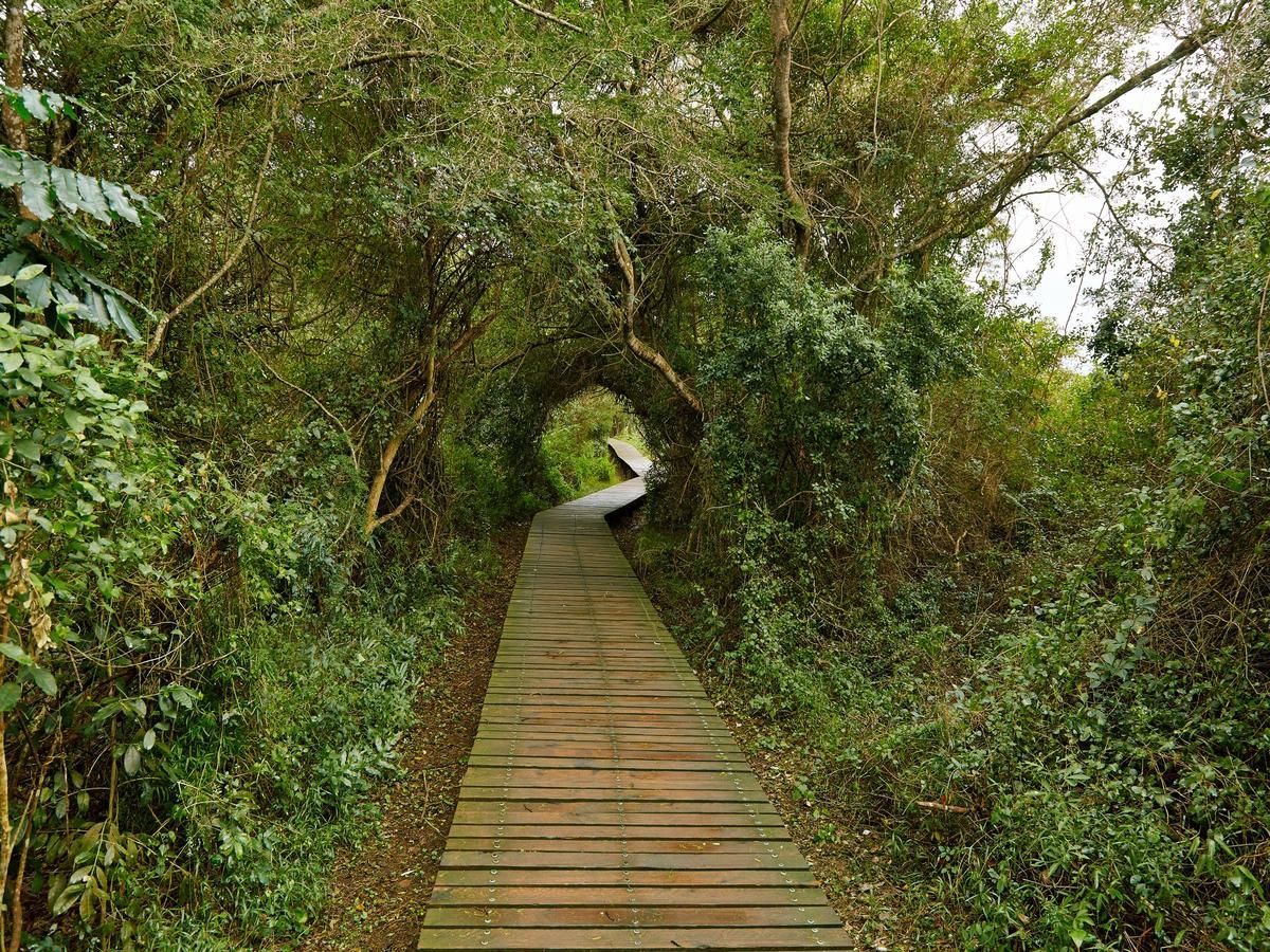 Perna Perna Lodge Saint Lucia Estuary Extérieur photo